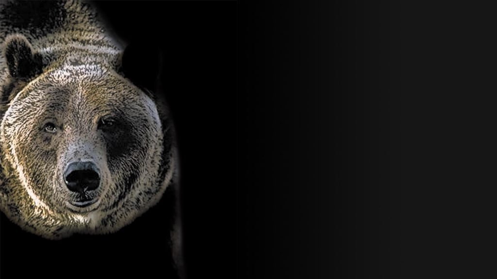 Robôs de automação para fabricação de ferramentas e moldes